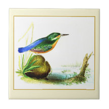 1833 Liverpool Archief | IJsvogel Decoratief