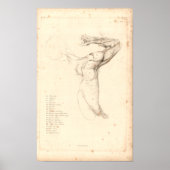1833 Schouder- anatomie Afdrukken Poster (Voorkant)
