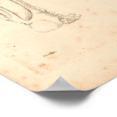 1833 Spier met voetanatomie Afdrukken Poster (Hoek)