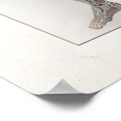 1833  spieren Nerves Anatomie Poster (Hoek)