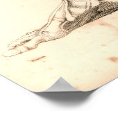 1833 Spierspier voor beenanatomie Afdrukken Poster (Hoek)