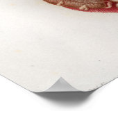 1833  Viscera Organen Anatomie Poster (Hoek)