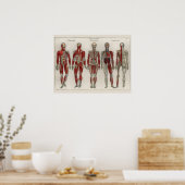 1837  spieren Nerves Anatomy Art Poster (Keuken)