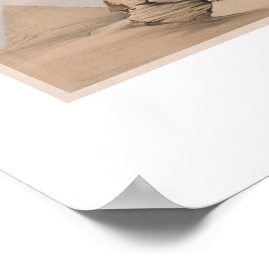 1839 spinx-afbeelding poster (Hoek)