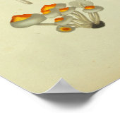 1841 Blauwe Gele Paddenstoelen Kunst Afdrukken Poster (Hoek)