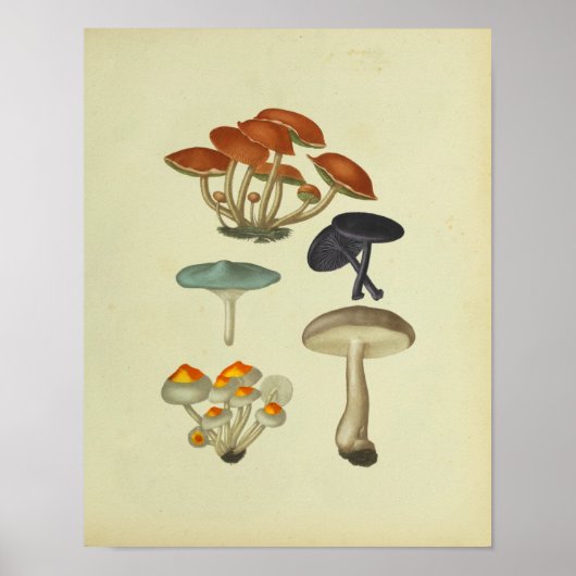 1841 Blauwe Gele Paddenstoelen Kunst Afdrukken Poster (Voorkant)
