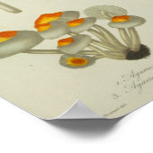 1841 gele blauwe Paarse paddenstoelen afdrukken Poster (Hoek)