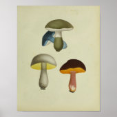  1841 gele blauwe paddenstoelen Kunst afdrukken Poster (Voorkant)