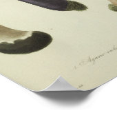  1841 Paarse bruine paddenstoelen Kunst afdrukken Poster (Hoek)