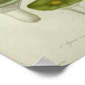  1841 Red Blue Green Mushrooms Art Poster (Hoek)