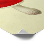  1841 Red Green Blue paddenstoelen Art Poster (Hoek)