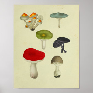  1841 Red Green Blue paddenstoelen Art Poster