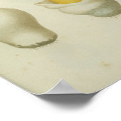  1841 Rode Gele Paddenstoelen Kunst Afdrukken Poster (Hoek)