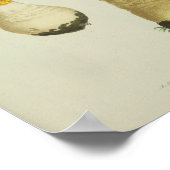  1841 Rode Gele Paddenstoelen Kunst Afdrukken Poster (Hoek)