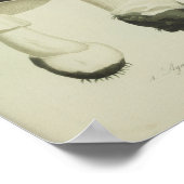  1841 Rode Zwarte paddenstoelen Kunst afdrukken Poster (Hoek)