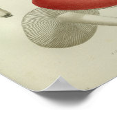  1841 roodgelroze paddenstoelen Kunst Afdrukken Poster (Hoek)