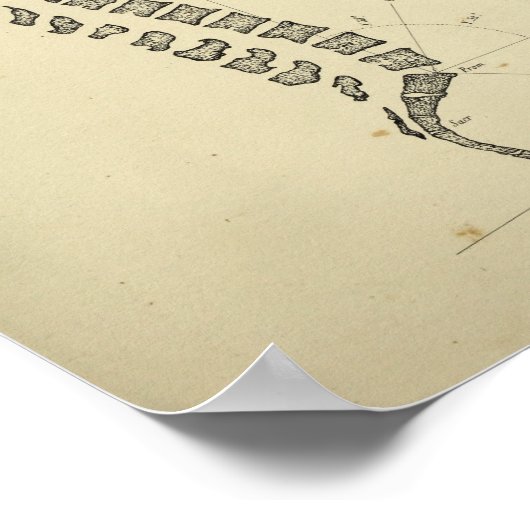  1843 Anatomie van de Humaan Spinale Kolom Poster (Hoek)