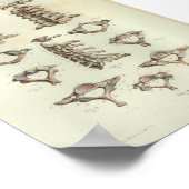 1844  anatomie Afdrukken Cervicale ruggengraat Poster (Hoek)