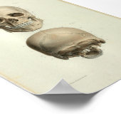 1844  anatomie Afdrukken Menselijke schedel Poster (Hoek)