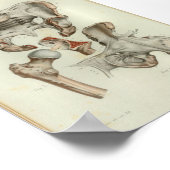 1844  anatomie Afdrukken Pelvis Hip Poster (Hoek)