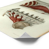 1844  anatomie Afdrukspieren Lumbar Poster (Hoek)