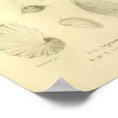  1845-papierkleuren voor autilistisch gebruik, kle poster (Hoek)