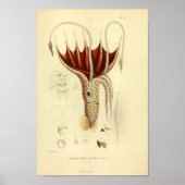  1845 UltraVault Squid Color Art afdrukken Poster (Voorkant)