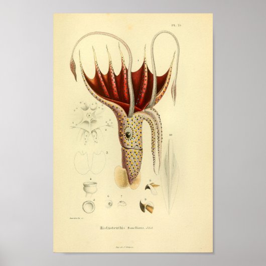  1845 UltraVault Squid Color Art afdrukken Poster (Voorkant)