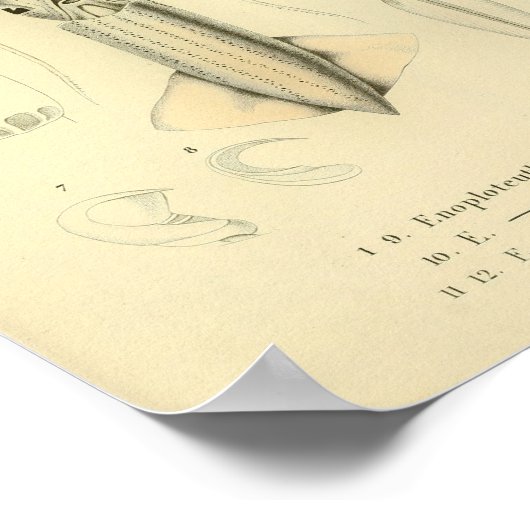  1845 vierkante kleurenafdrukken poster (Hoek)