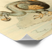 1848 Dodo Extinct Bird  Print (Hoek)