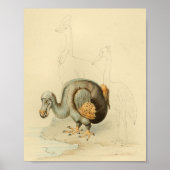 1848 Dodo Extinct Bird Print (Voorkant)