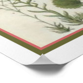 1849 Botanische afdruk door Jane Loudon- 12x16 Poster (Hoek)