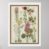 1849 Botanische afdruk door Jane Loudon- 12x16 Poster (Voorkant)
