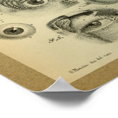1850 anatomie Afdrukken Menselijk Oog Poster (Hoek)