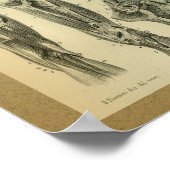 1850  anatomie Afdrukpoetspieren Poster (Hoek)