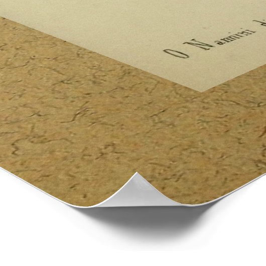 1850  anatomie Afdrukspieren Poster (Hoek)