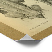 1850  anatomie Afdrukspieren Poster (Hoek)