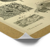 1850 anatomie printmodel poster (Hoek)