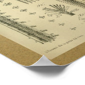 1850  anatomie printruggenmerg poster (Hoek)