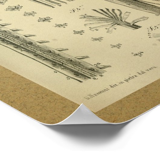 1850  anatomie printruggenmerg poster (Hoek)