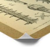 1850  anatomie printruggenmerg poster (Hoek)