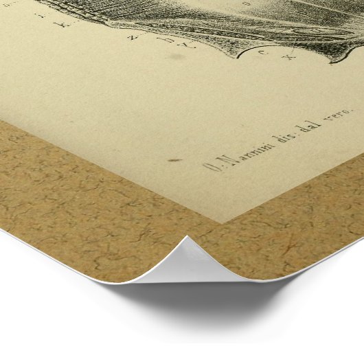 1850 anatomie printspieren poster (Hoek)