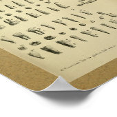 1850  Anatomy Print Jaw Teeth (Hoek)