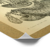 1850 Anatomy Print Liver Arteries (Hoek)