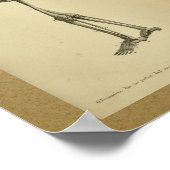 1850  Anatomy Print Skelet (Hoek)