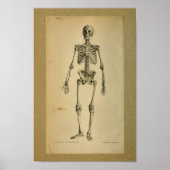 1850  Anatomy Print Skelet (Voorkant)