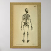 1850  Anatomy Print Skelet (Voorkant)