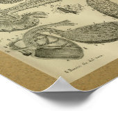 1850  pancreas voor anatomie met printplaat poster (Hoek)