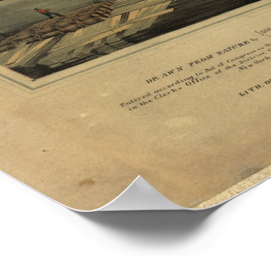 1850 Sacramento California Birds Eye Panoramic Map Poster (Hoek)