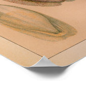 1851  kleurenafdrukken poster (Hoek)